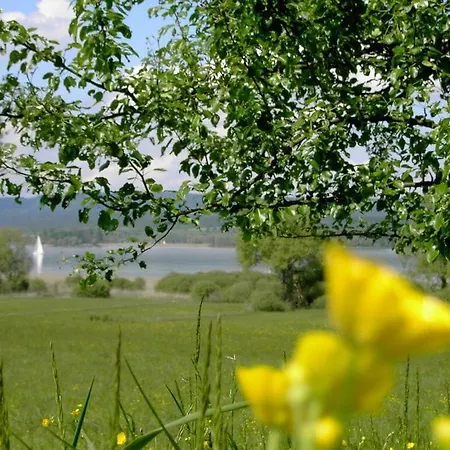 Boardinghouse Bodensee 度假居 盖恩霍芬